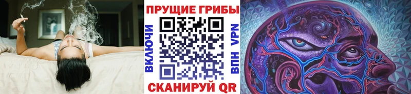 Галлюциногенные грибы Psilocybine cubensis Бирск