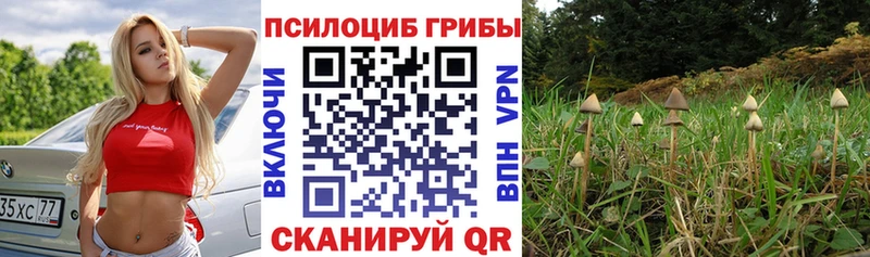 Псилоцибиновые грибы мухоморы  Бирск 